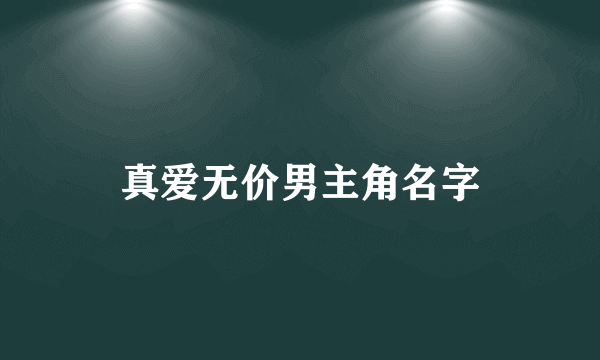 真爱无价男主角名字