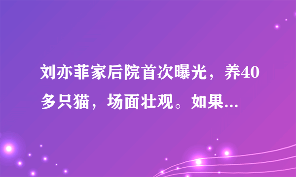 刘亦菲家后院首次曝光，养40多只猫，场面壮观。如果是你，你最多收养多少只流浪猫？