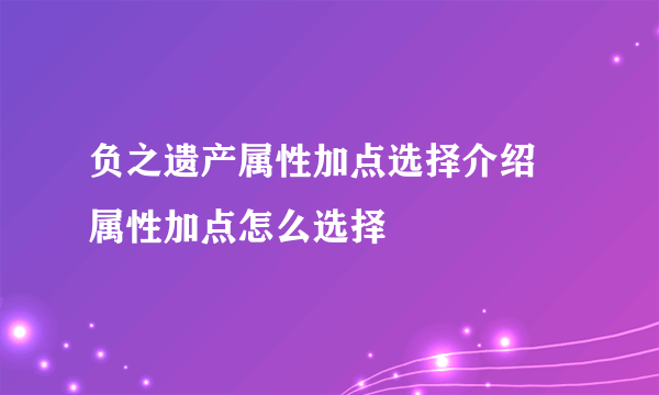 负之遗产属性加点选择介绍 属性加点怎么选择