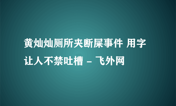 黄灿灿厕所夹断屎事件 用字让人不禁吐槽 - 飞外网