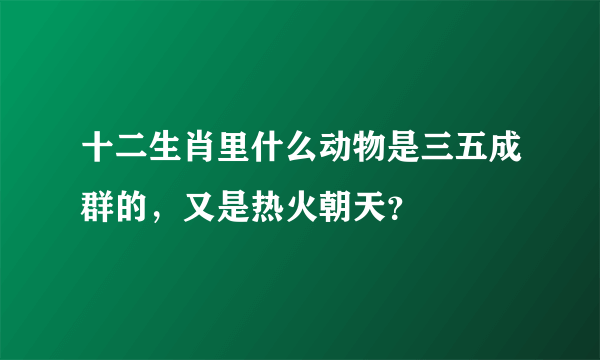 十二生肖里什么动物是三五成群的，又是热火朝天？