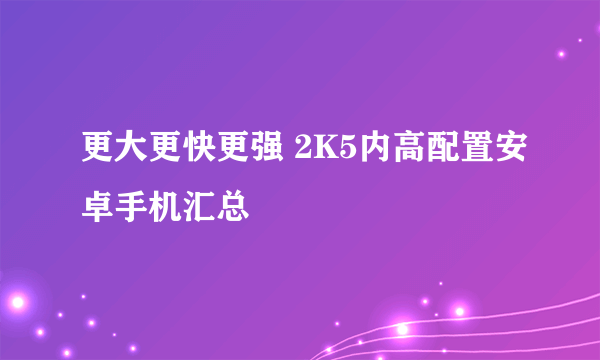 更大更快更强 2K5内高配置安卓手机汇总