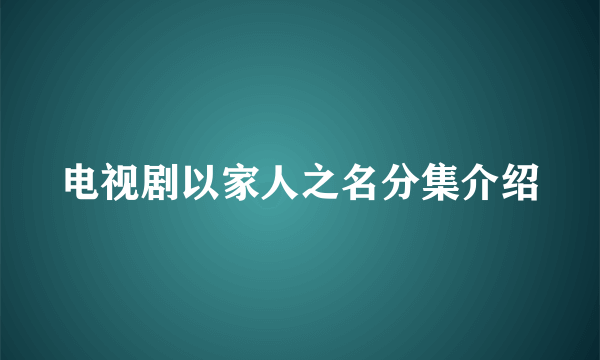 电视剧以家人之名分集介绍