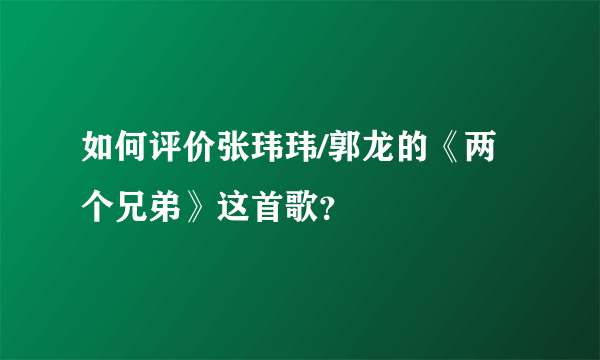 如何评价张玮玮/郭龙的《两个兄弟》这首歌？