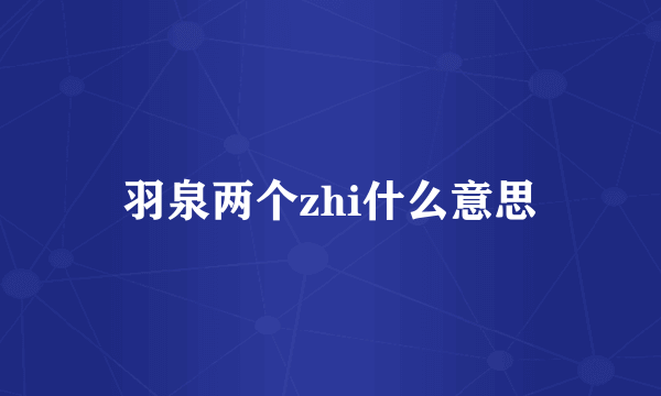 羽泉两个zhi什么意思