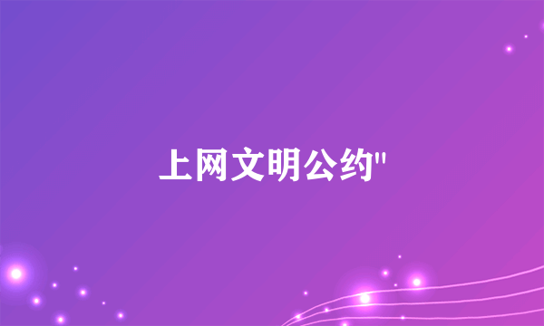 上网文明公约