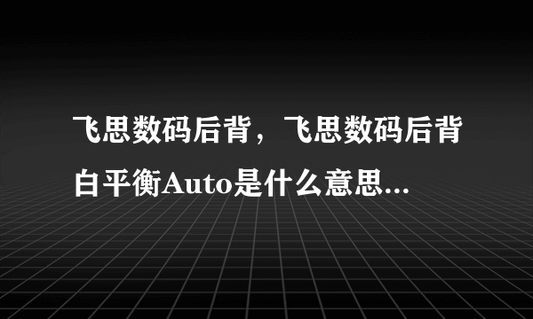 飞思数码后背，飞思数码后背白平衡Auto是什么意思( 二 )