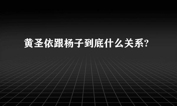 黄圣依跟杨子到底什么关系?