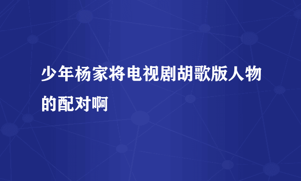 少年杨家将电视剧胡歌版人物的配对啊