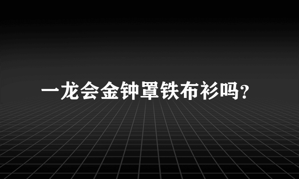 一龙会金钟罩铁布衫吗？