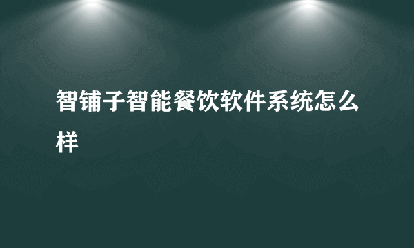 智铺子智能餐饮软件系统怎么样