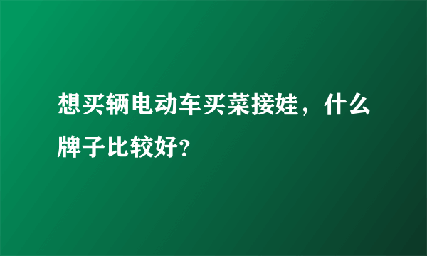 想买辆电动车买菜接娃，什么牌子比较好？