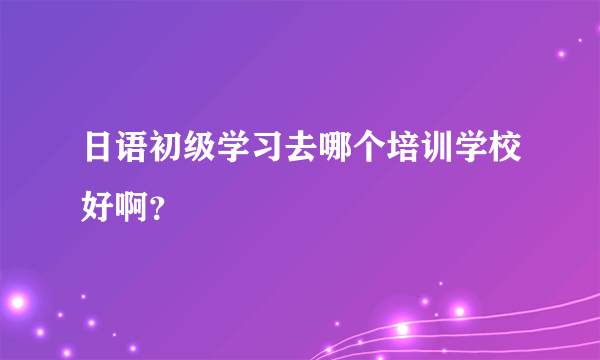 日语初级学习去哪个培训学校好啊？