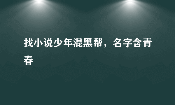 找小说少年混黑帮，名字含青春