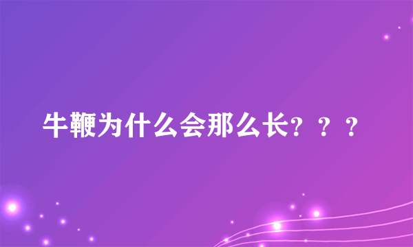 牛鞭为什么会那么长？？？