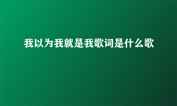 我以为我就是我歌词是什么歌