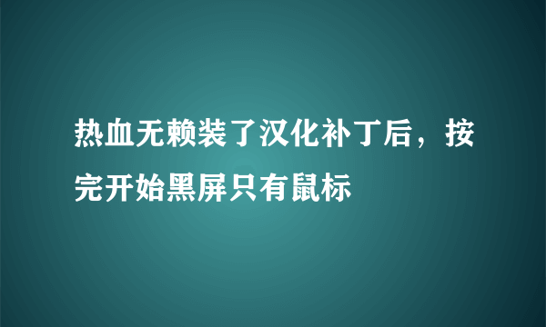 热血无赖装了汉化补丁后，按完开始黑屏只有鼠标