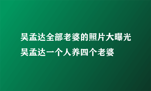 吴孟达全部老婆的照片大曝光吴孟达一个人养四个老婆