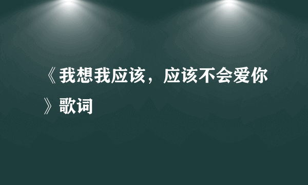 《我想我应该，应该不会爱你》歌词