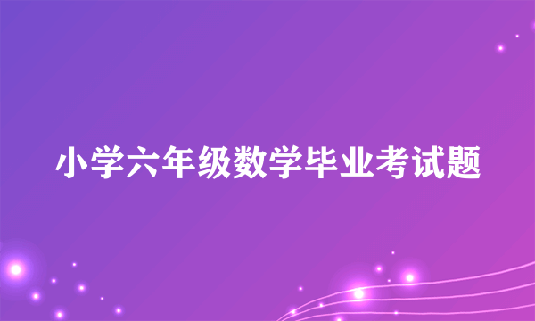 小学六年级数学毕业考试题