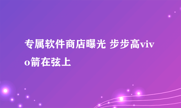 专属软件商店曝光 步步高vivo箭在弦上