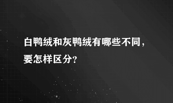 白鸭绒和灰鸭绒有哪些不同，要怎样区分？