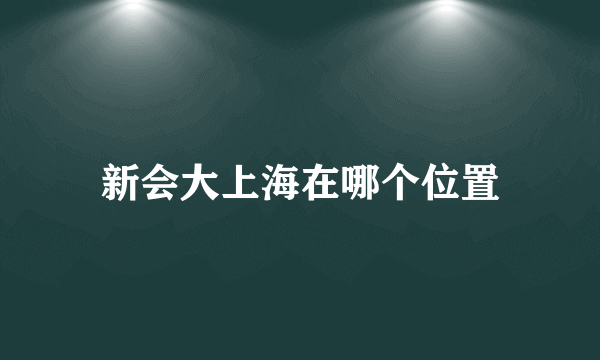 新会大上海在哪个位置