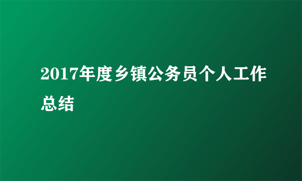 2017年度乡镇公务员个人工作总结