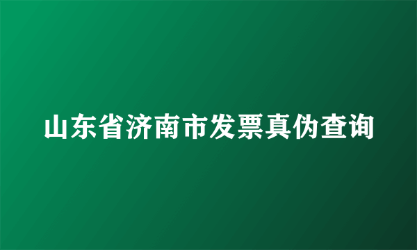 山东省济南市发票真伪查询