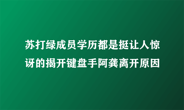 苏打绿成员学历都是挺让人惊讶的揭开键盘手阿龚离开原因