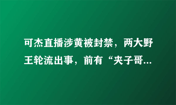 可杰直播涉黄被封禁，两大野王轮流出事，前有“夹子哥”后有“片子哥”，你怎么看？