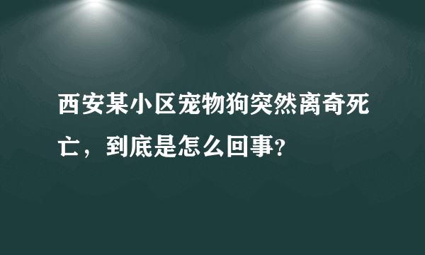 西安某小区宠物狗突然离奇死亡，到底是怎么回事？