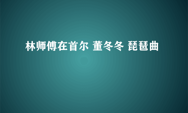 林师傅在首尔 董冬冬 琵琶曲