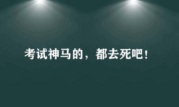 考试神马的，都去死吧！