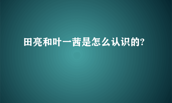 田亮和叶一茜是怎么认识的?