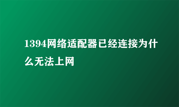 1394网络适配器已经连接为什么无法上网