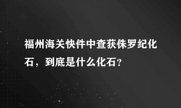 福州海关快件中查获侏罗纪化石，到底是什么化石？