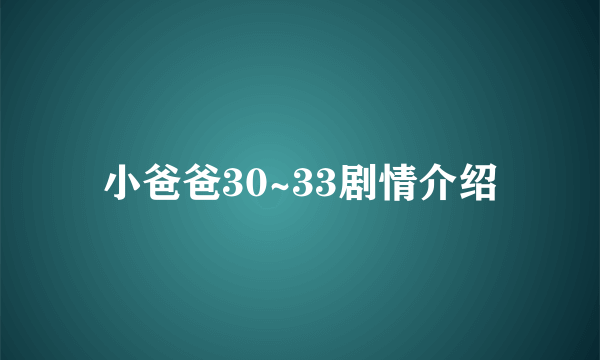 小爸爸30~33剧情介绍