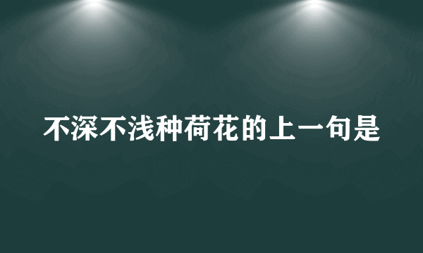 不深不浅种荷花的上一句是