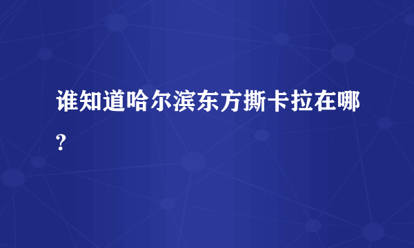 谁知道哈尔滨东方撕卡拉在哪?