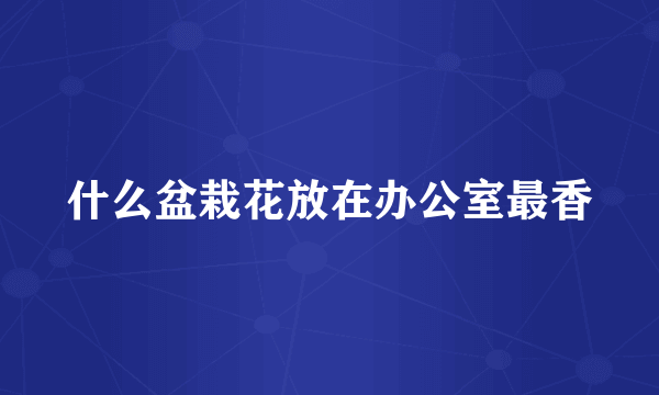 什么盆栽花放在办公室最香