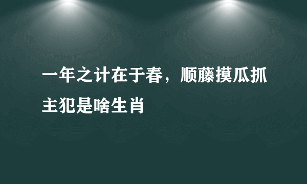 一年之计在于春，顺藤摸瓜抓主犯是啥生肖