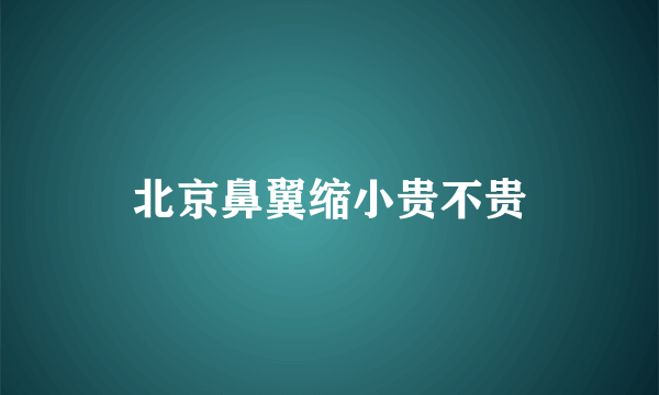 北京鼻翼缩小贵不贵