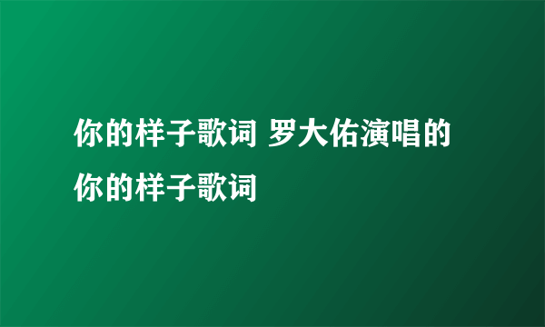 你的样子歌词 罗大佑演唱的你的样子歌词