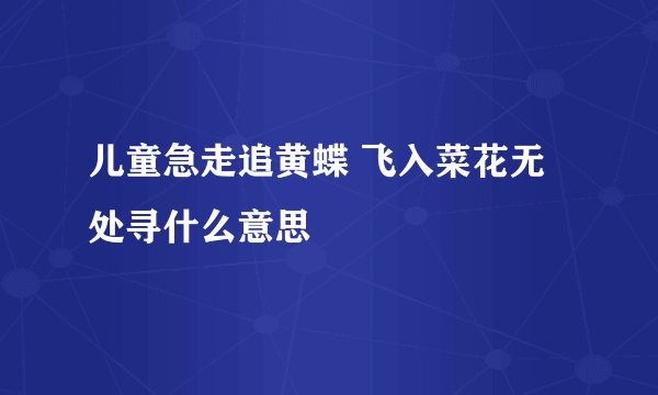 儿童急走追黄蝶 飞入菜花无处寻什么意思