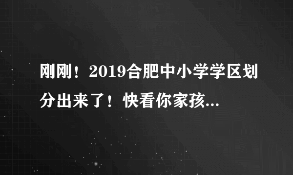 刚刚！2019合肥中小学学区划分出来了！快看你家孩子在哪上学