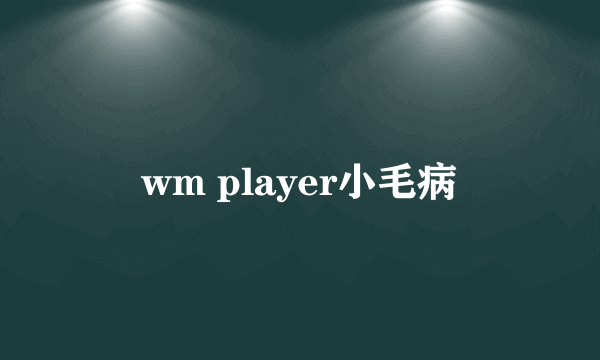 wm player小毛病