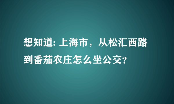 想知道: 上海市，从松汇西路到番茄农庄怎么坐公交？