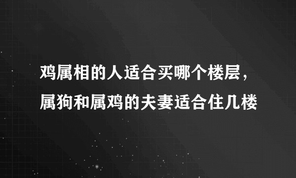 鸡属相的人适合买哪个楼层，属狗和属鸡的夫妻适合住几楼