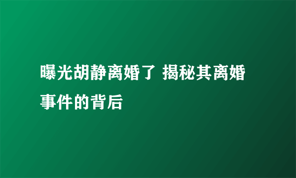 曝光胡静离婚了 揭秘其离婚事件的背后